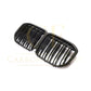 Carbon Fibre Front Grille for BMW G07 X7 19-22-Carbon Factory