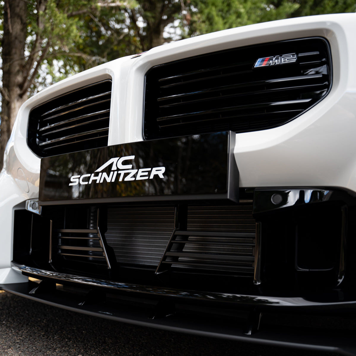 AC Schnitzer front grill for BMW M2 G87 (5111387540)