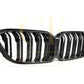 Double Slat Pre-preg Carbon Fibre Front Grille for BMW F87 M2C LCI Competition 13-20-Carbon Factory