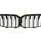 Double Slat Pre-preg Carbon Fibre Front Grille for BMW F87 M2C LCI Competition 13-20-Carbon Factory