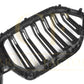 Double Slat Pre-preg Carbon Fibre Front Grille for BMW G06 X6 19-22-Carbon Factory