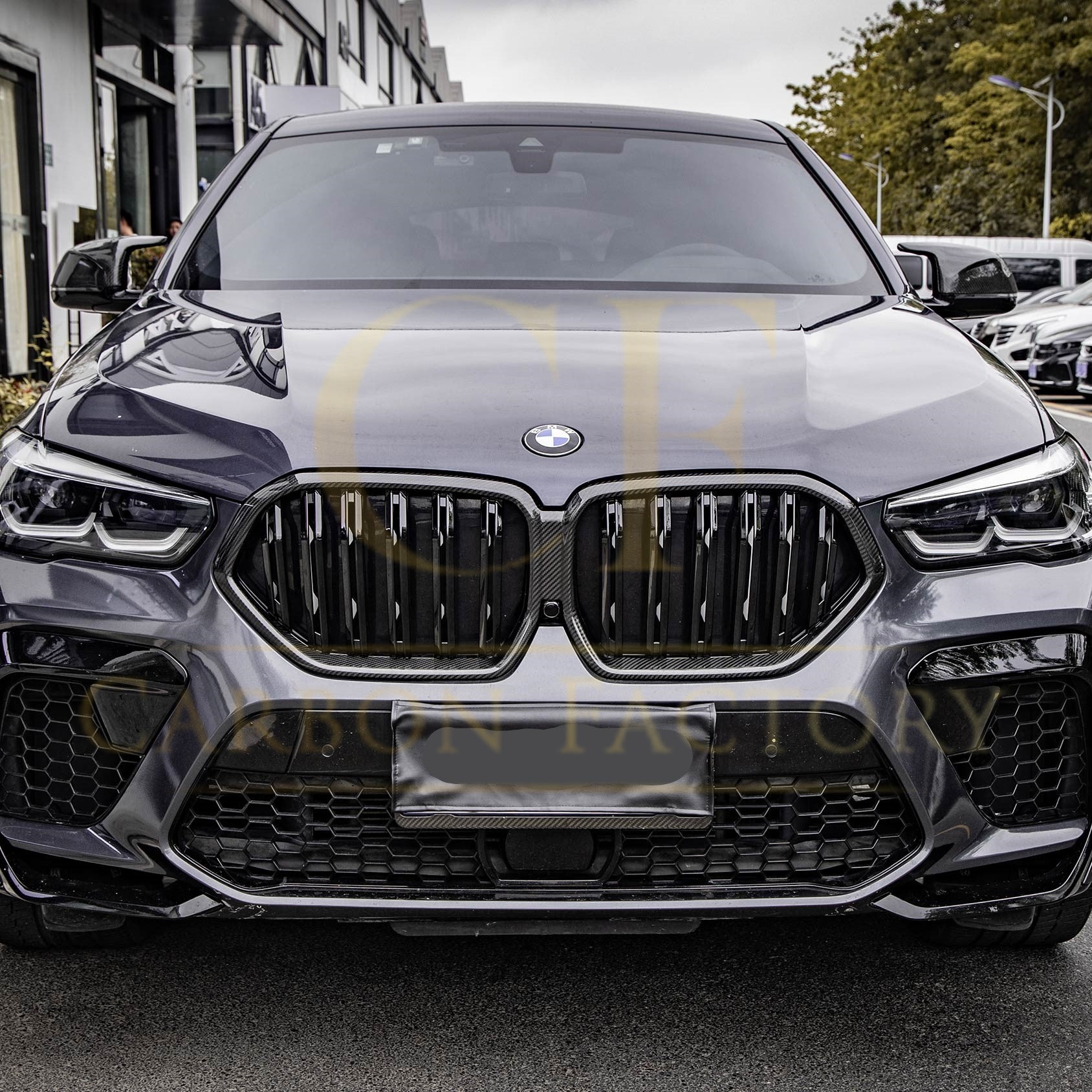 Double Slat Pre-preg Carbon Fibre Front Grille for BMW G06 X6 19-22-Carbon Factory