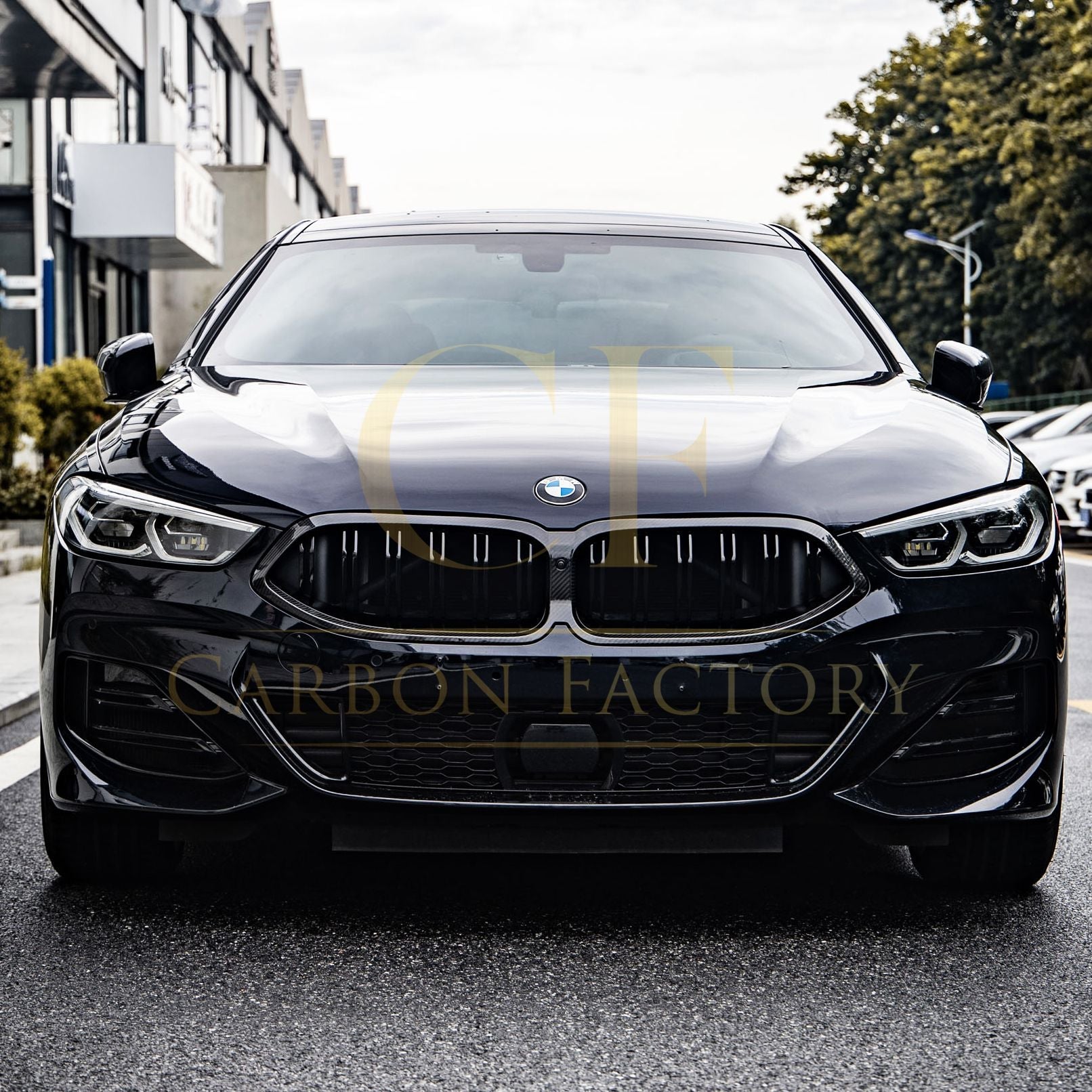 Double Slat Pre-preg Carbon Fibre Front Grille for BMW G14 G15 G16 8 Series LCI 23-24-Carbon Factory