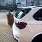 Pre-Preg Carbon Fibre Shark Fin Antenna Cover for BMW F20 1 Series 11-19-Carbon Factory