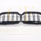 Pre-preg Carbon Fibre Front Grille for BMW 2 Series F44 21-Present-Carbon Factory