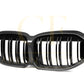 Double Slat Pre-Preg Carbon Fibre Front Grille for BMW F40 1 Series 19-24 - Carbon Factory