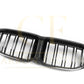 Double Slat Pre-Preg Carbon Fibre Front Grille for BMW F40 1 Series 19-24 - Carbon Factory