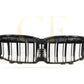 Double Slat Pre-Preg Carbon Fibre Front Grille for BMW F40 1 Series 19-24 - Carbon Factory