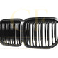 Pre-Preg Carbon Fibre Front Grille for BMW G07 X7 LCI 23-25 - Carbon Factory