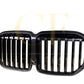 Pre-Preg Carbon Fibre Front Grille for BMW G07 X7 LCI 23-25 - Carbon Factory