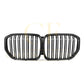 Pre-preg Carbon Fibre Front Grille for BMW G05 X5 19-22