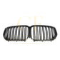 Pre-preg Carbon Fibre Front Grille for BMW G05 X5 19-22